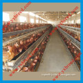 Chicken Cages for Poultry Farm for Nigeria